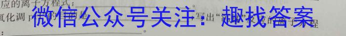 3陕西省西安市2024届高三3月联考化学试题