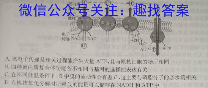 天舟高考衡中同卷2025届全国高三第一次联合性检测生物学试题答案