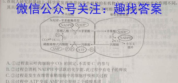 2024年河北省初中毕业生升学文化课模拟考试(经典二)生物学试题答案