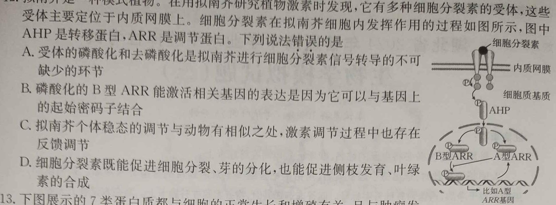 陕西省榆林市2024年初中学业水平考试模拟卷A生物