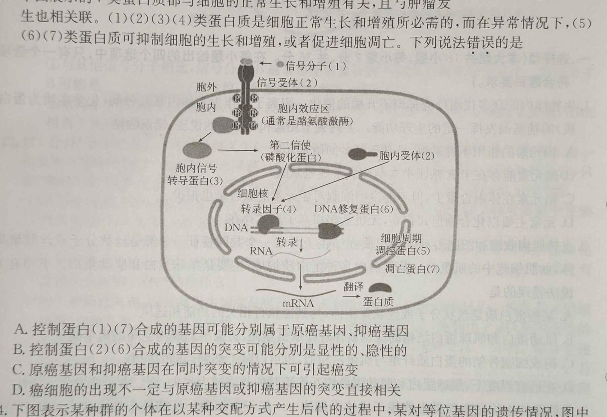 德州市2023-2024高二试题(2024.7)生物