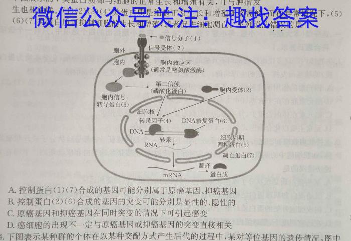 2024年中考第二次模拟考试(陕西卷)生物学试题答案