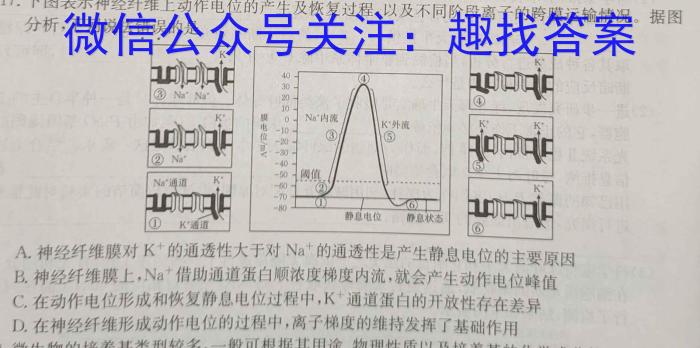 [阳光启学]2024届全国统一考试标准模拟信息卷(四)生物学试题答案