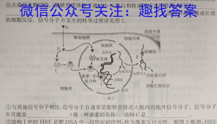 山东名校考试联盟 2023-2024学年高一下学期期中检测(2024.05)生物学试题答案