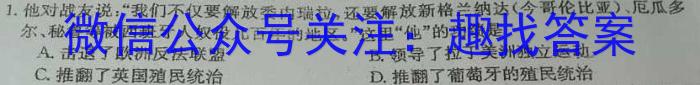 安徽省2023-2024八年级无标题考试(圆圈序号五)历史试卷答案