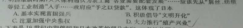 安徽省省城名校2024年中考模拟试卷历史