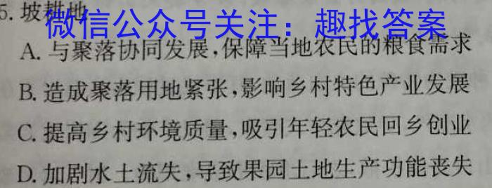 湖南省长沙市一中2024届高考适应性演练(二)2地理试卷答案