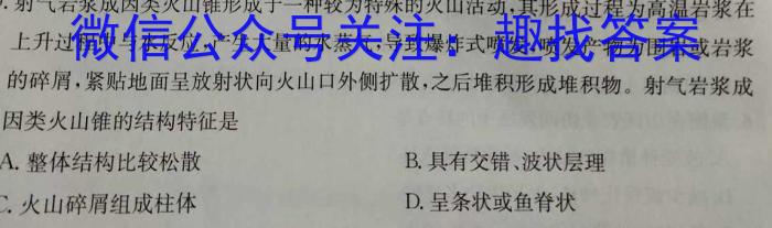 2024届陕西省高三考试5月(云朵和上下箭头)地理试卷答案