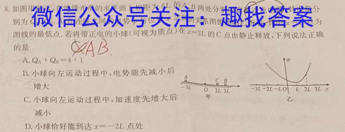 上进联考 七彩联盟2023-2024学年第二学期高二年级期中联考物理试卷答案