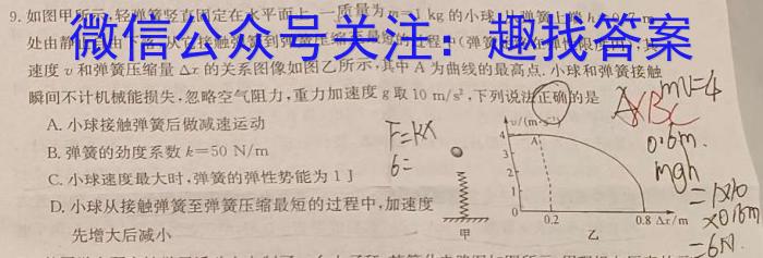 2025届新高三学情摸底考(新课标卷)物理`