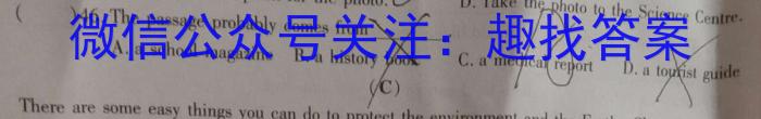 2024届陕西省高三考试5月(云朵和上下箭头)英语试卷答案