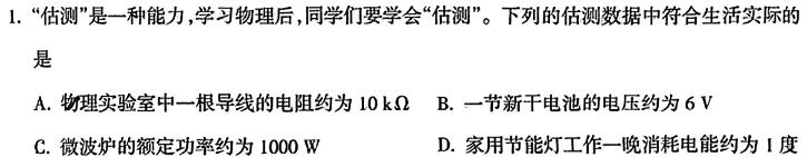 ​［广安中考］广安市2024年初中学业水平考试道德与法治试题及答案(物理)试卷答案