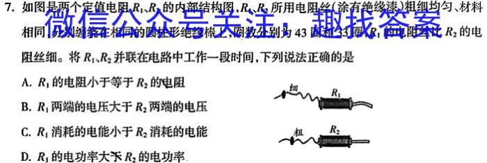 文博志鸿 2024年河北省九年级基础摸底考试(二)2物理试卷答案