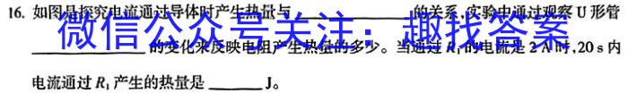 江西省2024年九年级下学期第二次学习效果检测物理试卷答案