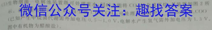 q湖北省2024年新高考联考协作体高一2月收心考试化学