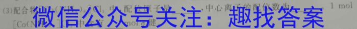 3山东省2024届高三下学期开年质量检测化学试题