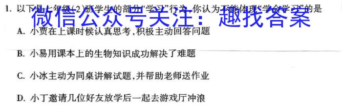 2024年河南省普通高中招生考试终极一考卷(BC)[H区专用]政治~