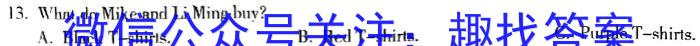 第九届湖北省高三(4月)调研模拟考试(2024.4)英语