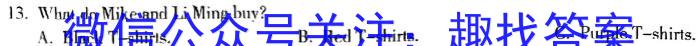 河北省2023-2024学年雄安新区高三模拟考试(2024.05)英语试卷答案