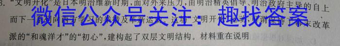 安徽省2023-2024学年度第二学期九年级作业辅导练习历史试卷答案