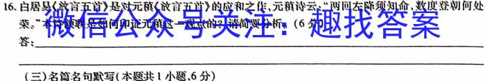 安徽省无为市2024届九年级第一次模拟考试/语文