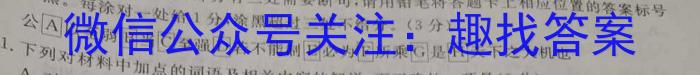 庐江县2023/2024学年度七年级第二学期期末教学质量抽测语文