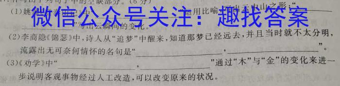 ʦ(ݾ)2024߿Ӧ¿()(ڰ׺ںںںڰ)xԾ