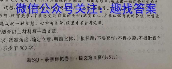 山东名校考试联盟 高三2024年4月高考模拟考试语文