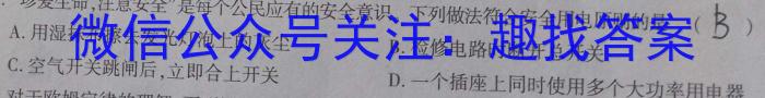 2024年安徽省九年级5月联考物理`