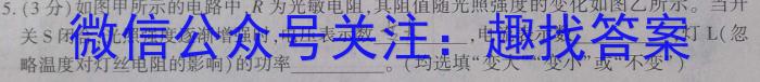 江西省2024-2025学年第一学期 初三年级阶段性自主训练物理试卷答案