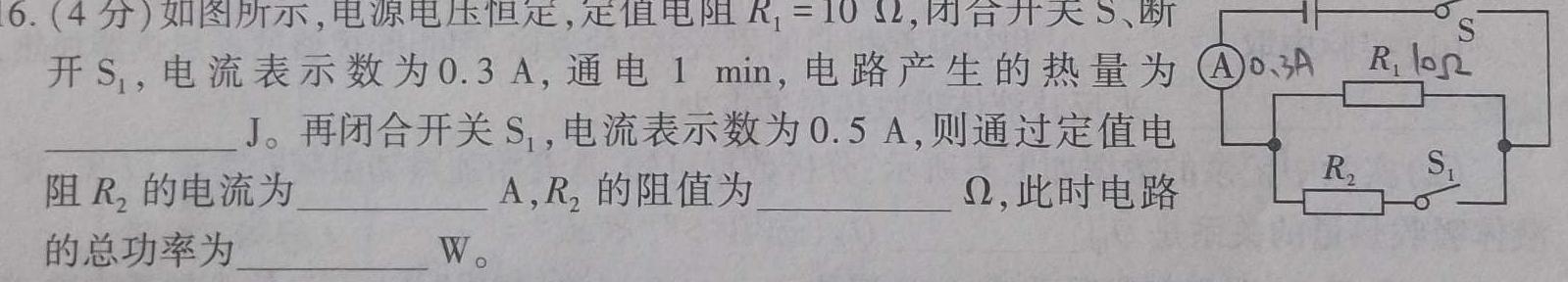 [今日更新]安徽省2023-2024学年下学期九年级教学评价二（期中）.物理试卷答案