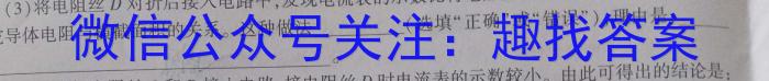 河南省2024年中考模拟示范卷 HEN(四)4物理试题答案