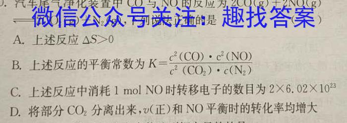 2024届陕西省九年级中考模拟检测(24-CZ152c)化学