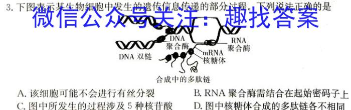 安徽省2023-2024学年第二学期七年级质量监测（4月）生物学试题答案