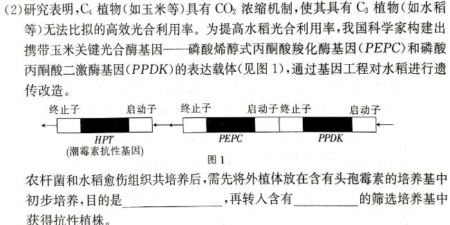 湖北省2024年高考冲刺模拟卷(一)1生物