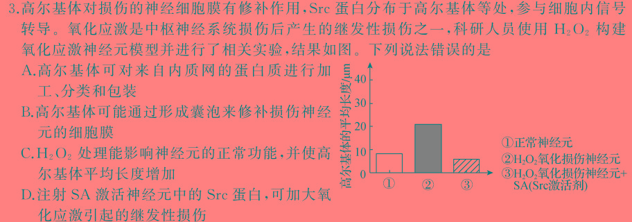 安徽第一卷·2024-2025学年安徽省八年级(9月)教学质量检测一Ⅰ生物