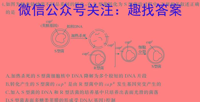 2024年湖南省普通高中学业水平合格性考试(压轴卷)生物学试题答案