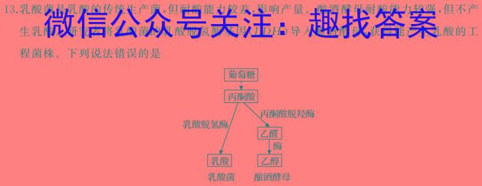 2024届中考导航总复习模拟冲刺卷二轮模拟(一)1生物学试题答案