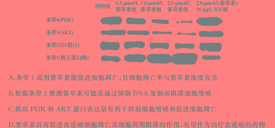 安徽省合肥市2023-2024学年第二学期七年级期末教学质量检测试卷生物学部分