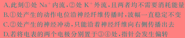 广西省2023-2024学年度第二学期高二年级4月联考生物