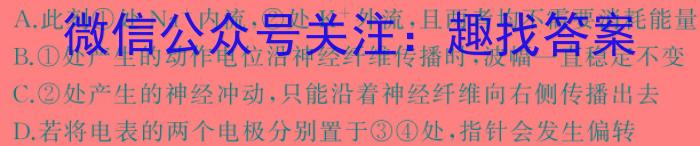 河北省2024届高三年级大数据应用调研联合测评七(Ⅶ)生物学试题答案