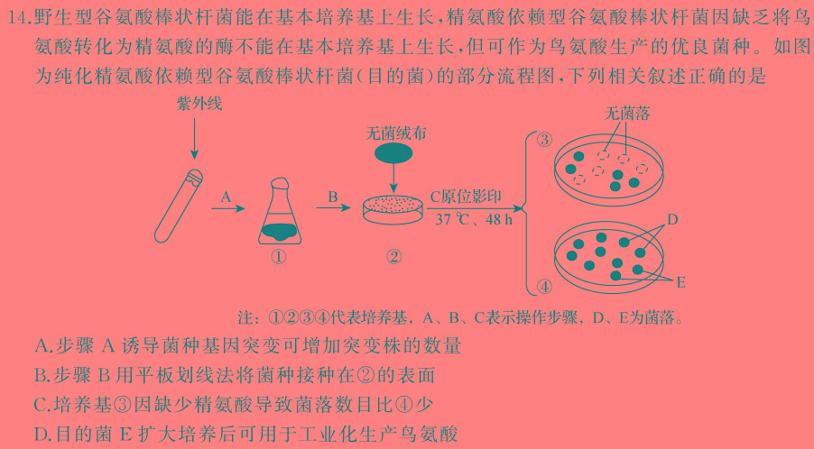 山西省平遥县2023-2024学年度九年级四月教学质量监测试题（卷）生物