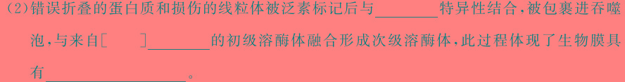 炎德英才大联考 雅礼中学2024届模拟试卷(二)2生物学部分