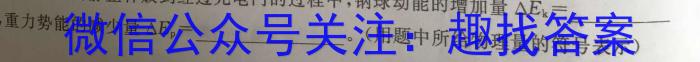 广西省2024年高考联合模拟考试(2024.3)物理`