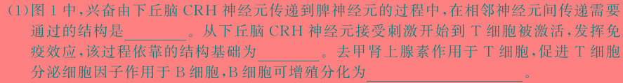 1号卷A10联盟2022级高二下学期2月开年考生物学部分