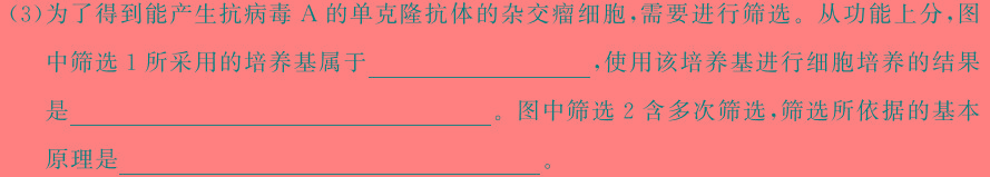河南省2023-2024学年（下）高一年级期中考试生物