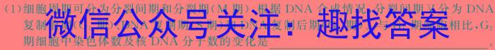 2024届华夏鑫榜九年级5月考试生物学试题答案