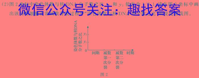 江苏省泰州市2023-2024学年度第二学期期末考试（高二年级）生物学试题答案