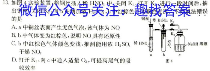 【精品】河北省L16联盟2024年普通高等学校招生全国统一考试模拟演练化学