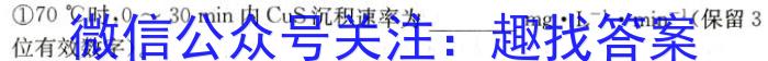 3安徽省2024届下学期九年级开学考试（2.28）化学试题